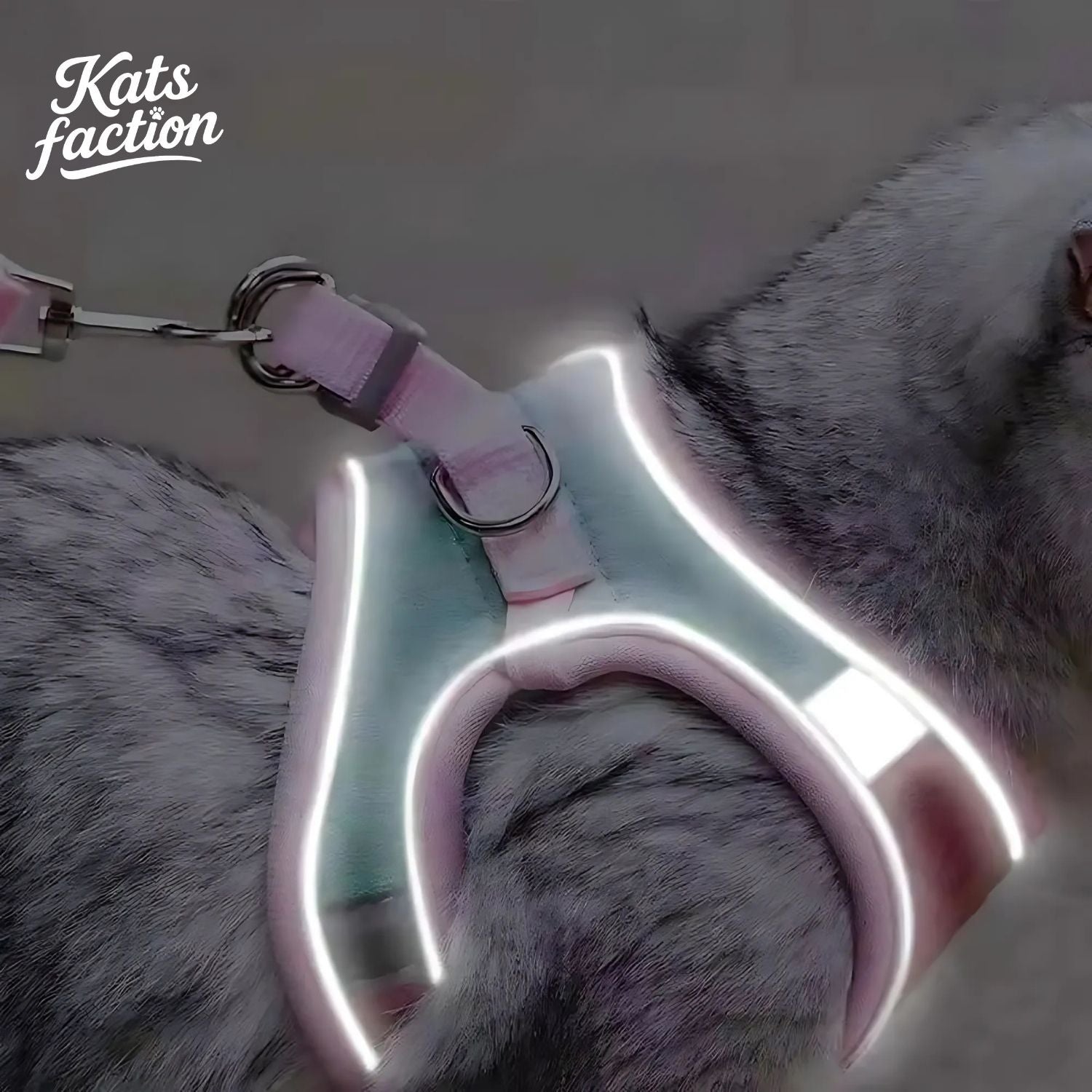 Katscape™