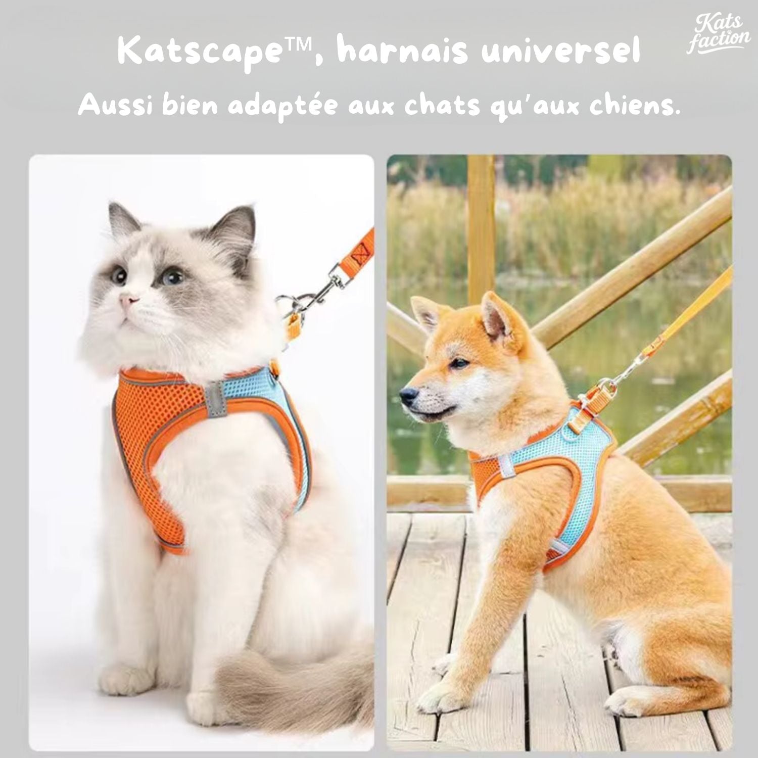 Katscape™