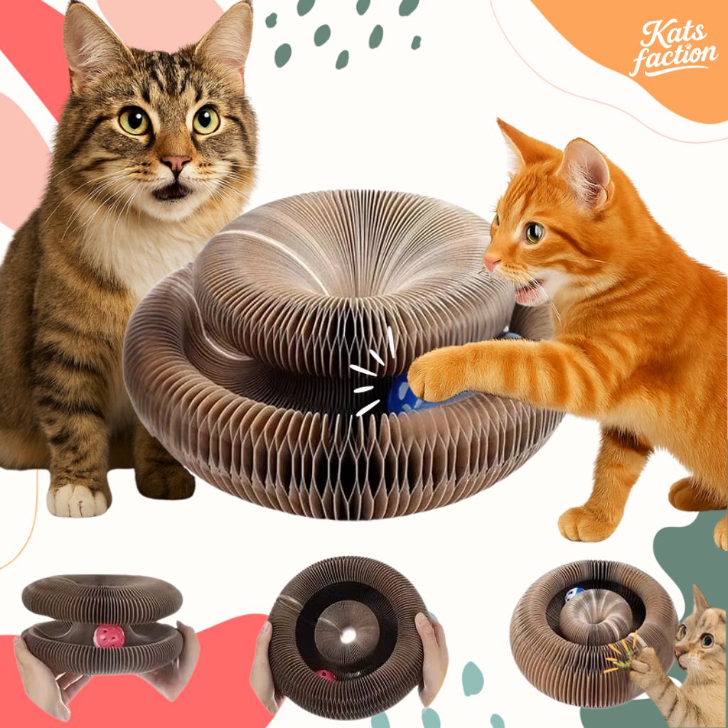 Twistykat™